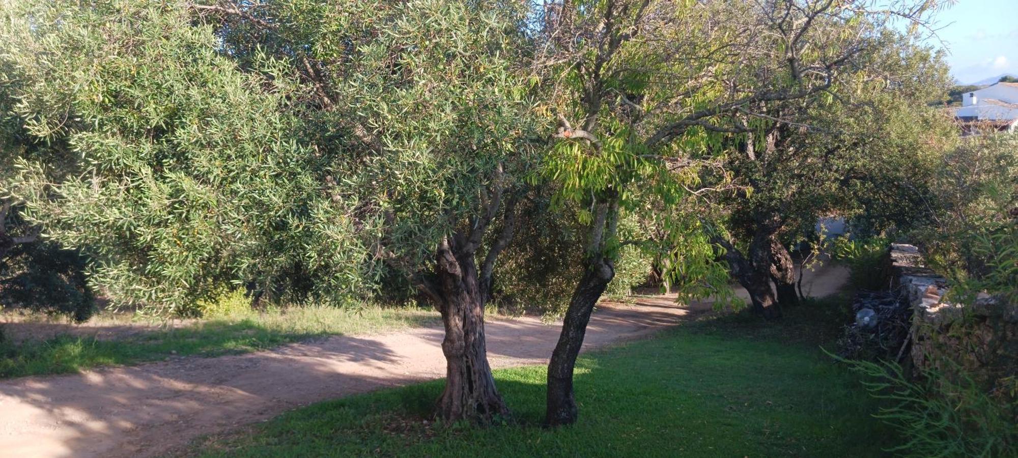 Casa Orecchioni Арцакена Экстерьер фото
